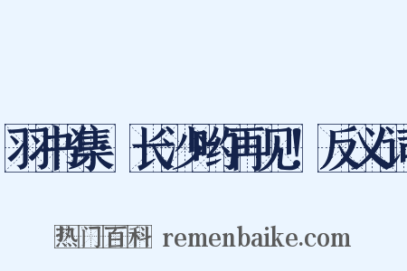 羽书集·长沙哟再见！反义词是什么意思的图片